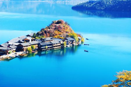 企业网站模板《逐梦国际》